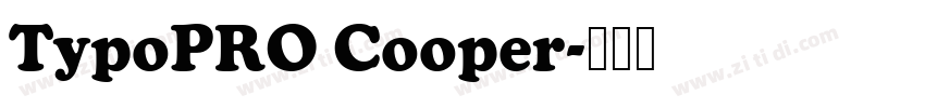 TypoPRO Cooper字体转换